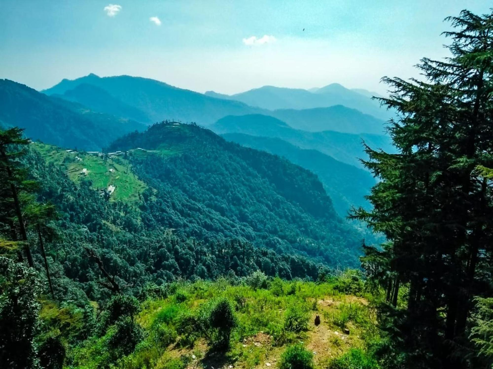 La Riqueza Dhanolti View # Near To Eco Park & Surkanda Devi Temple # Mountain View Rooms With Balcony # Big Parking # Customer Favourite Hotel Dhanaulti Exterior photo